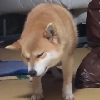 😜