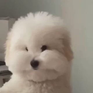 😳