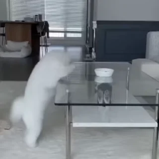 🤩
