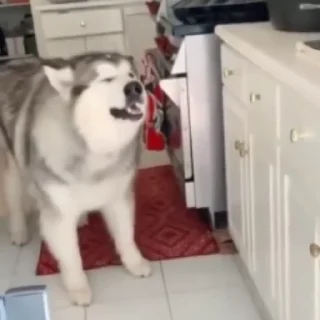 😭