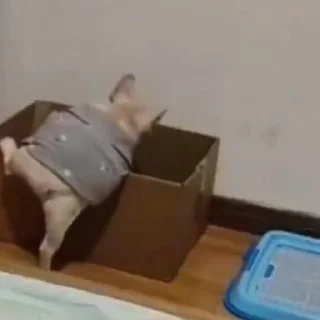 🥲