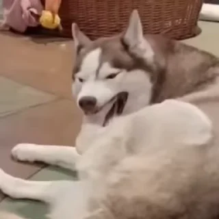 🤨