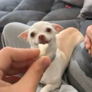 😏