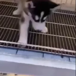 😕