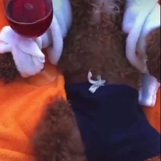 😛