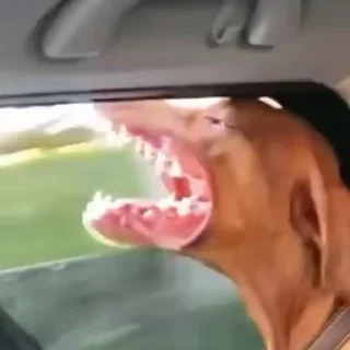 😍