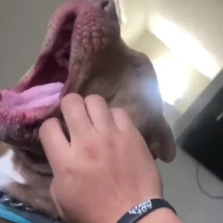 🥹
