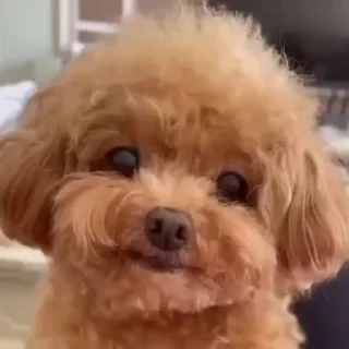 😛