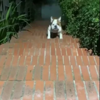 🤓