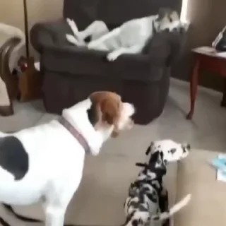 😁