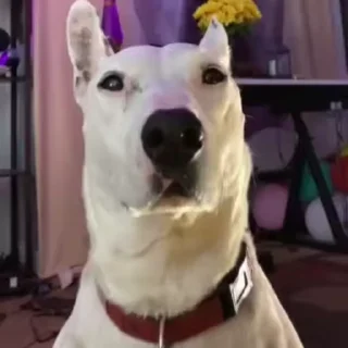 😏