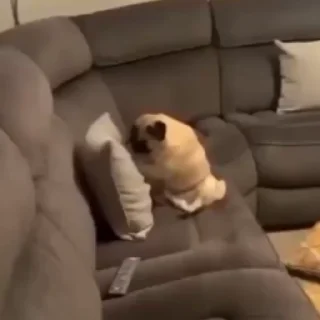 🤓