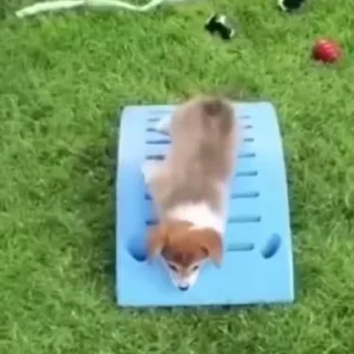 😎