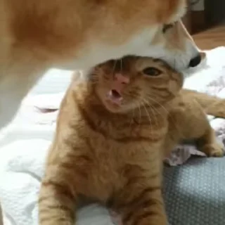 😌