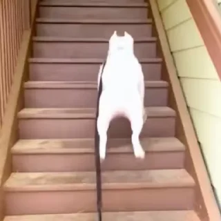 😬