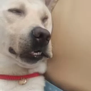 🤫