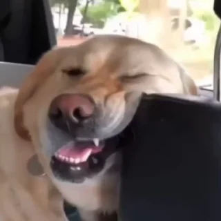 😳