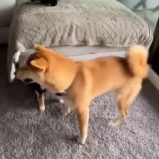 🧐