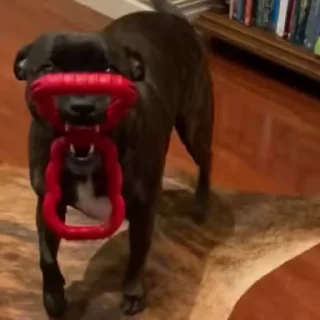 🤓