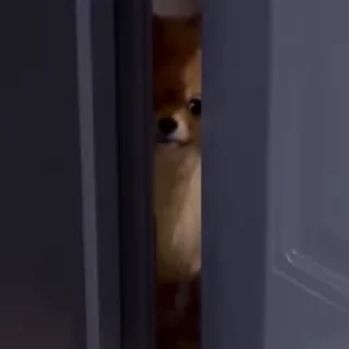 🤓