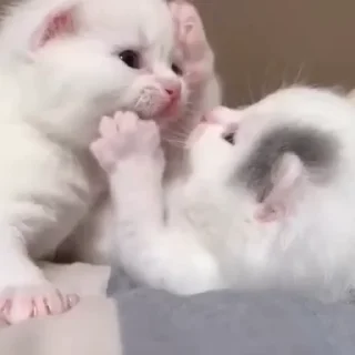 🥰