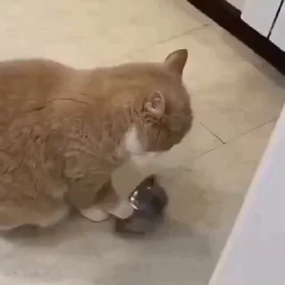 🍔