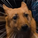 😃