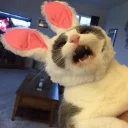😄
