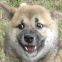😛