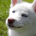 😛