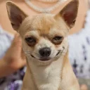 🙂