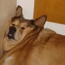 😣