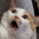😛