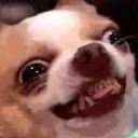 😧