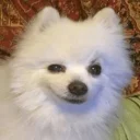 😊