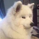 😵