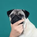 😋