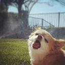 😛