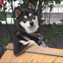 😌