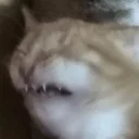 😕