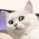 😵