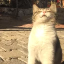 😙