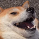 😁