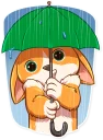 ☔
