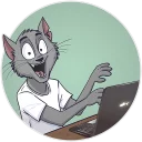 💻
