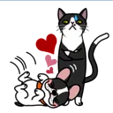 💖