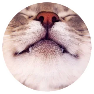 ☺️
