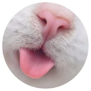 ❤