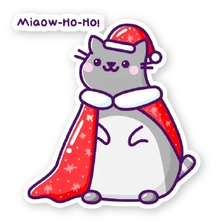 🐱