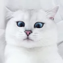😉